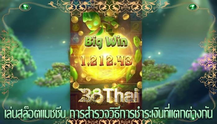 เล่นสล็อตแมชชีน การสำรวจวิธีการชำระเงินที่แตกต่างกัน