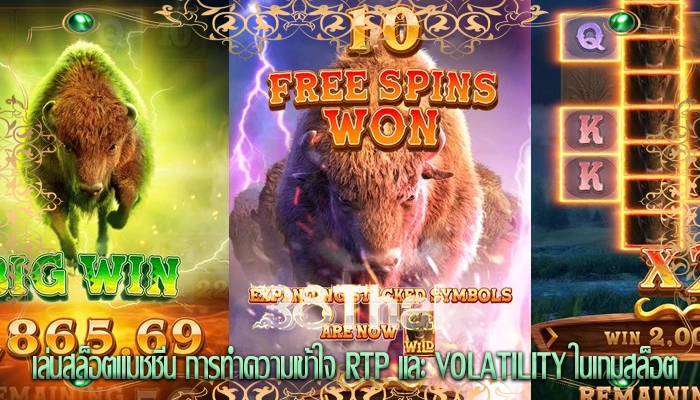 เล่นสล็อตแมชชีน การทำความเข้าใจ RTP และ Volatility ในเกมสล็อต